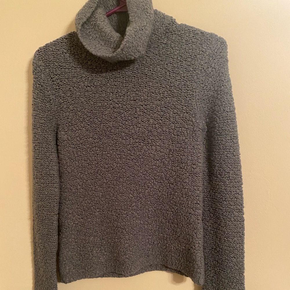 Jcrew Turtleneck